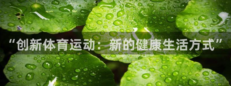 bsport必一运动