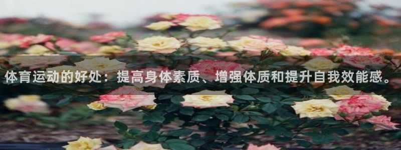 b体育必一运动官网