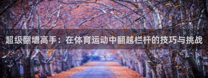 必一运动bsport体育