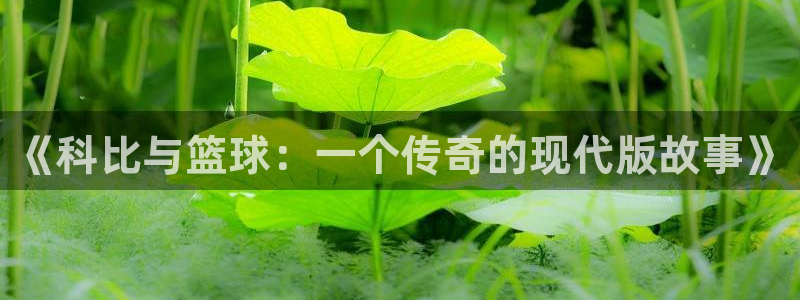 bsport必一运动