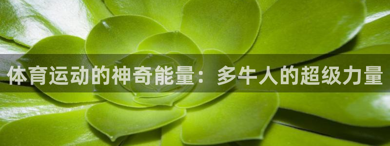 bsports必一运动