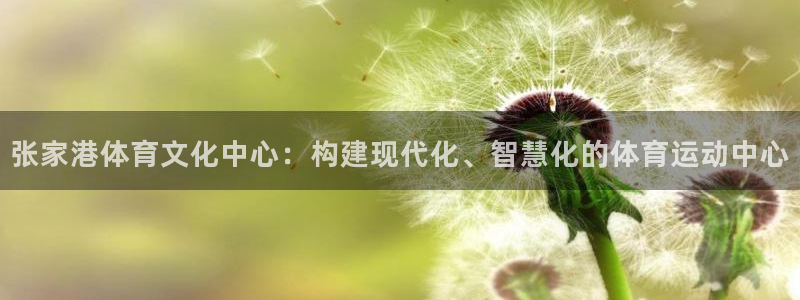 b体育必一运动官网