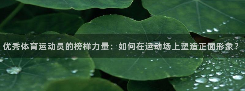 必一运动体育官网入口