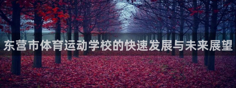 必一运动体育