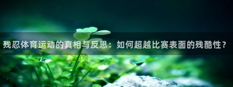必一运动官网入口