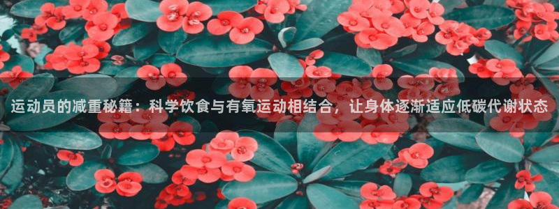 必一运动